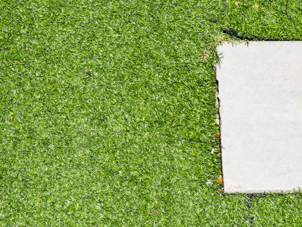 草地足球场纹理背景近景图片下载