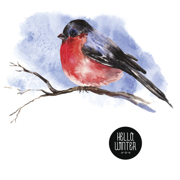 冬季水彩背景与红腹灰雀图片下载
