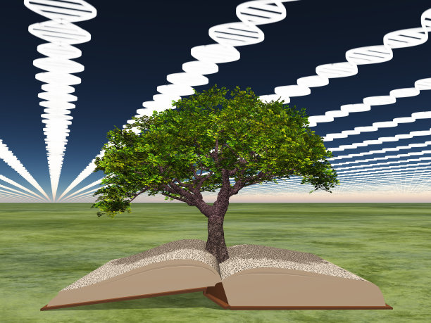 生命之书配生命之树图片下载