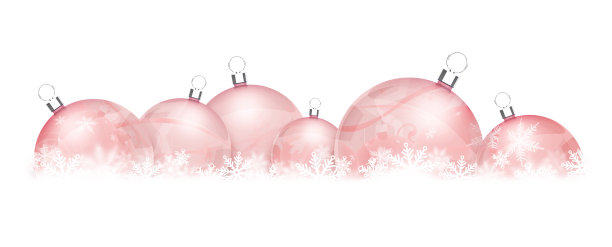 圣诞节的价格图片下载