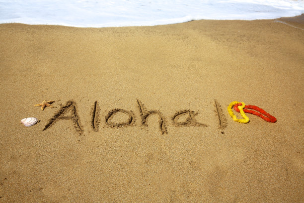 阿罗哈图片下载