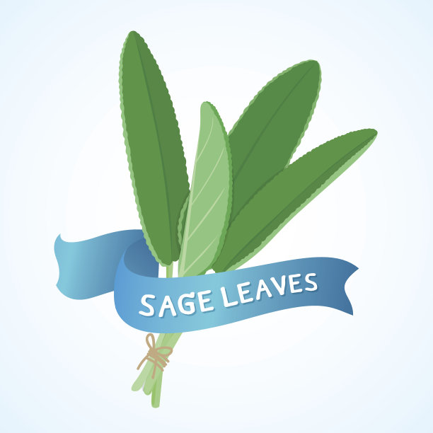 鼠尾草叶带蓝丝带图片下载