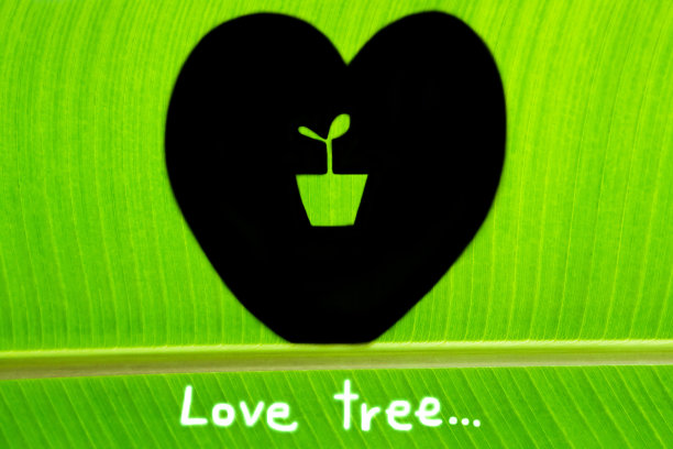 芭蕉叶画植物在心和字爱情树图片下载