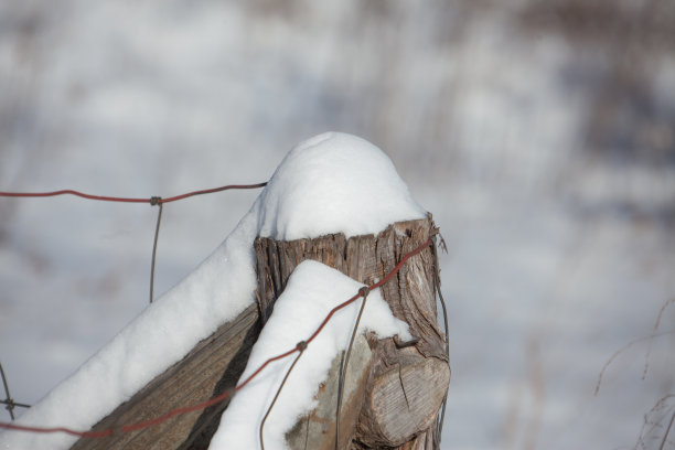 雪栅栏图片下载