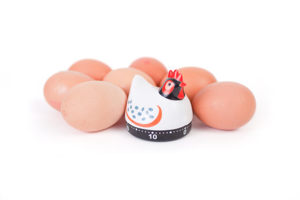 鸡肉和鸡蛋图片下载