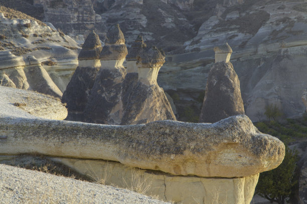 卡帕多西亚的蛇图片下载