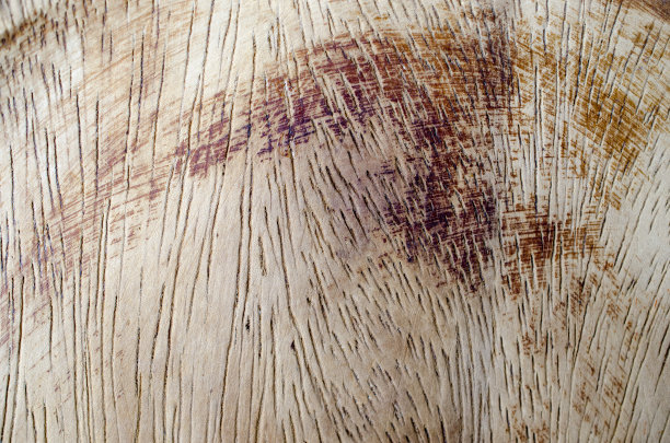 木材纹理图片下载