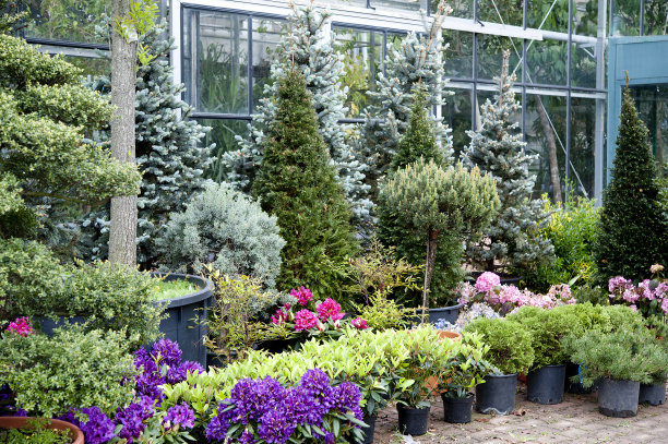 卖鲜花图片下载