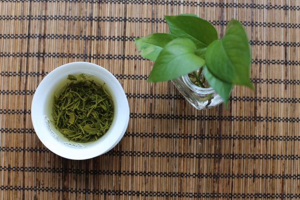 茶和一种植物图片下载