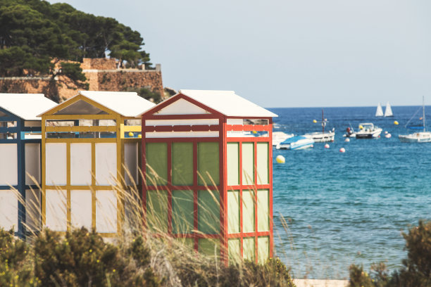 萨加罗图片下载