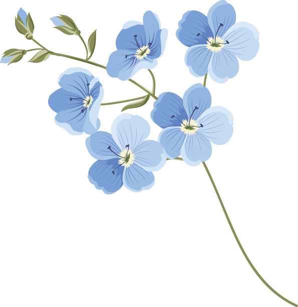 亚麻花图片下载