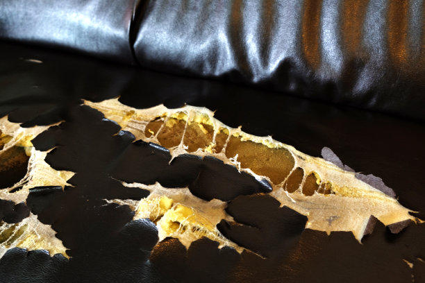 破碎的沙发图片下载