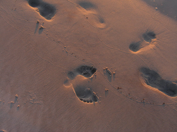 十字路口——日落时沙滩上的脚印图片下载