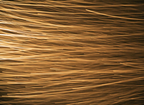 雪扫帚图片下载