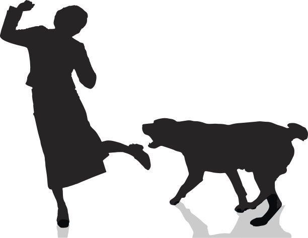 向量轮廓。图片下载