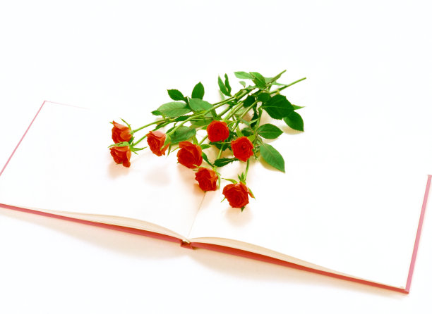 书和玫瑰图片下载