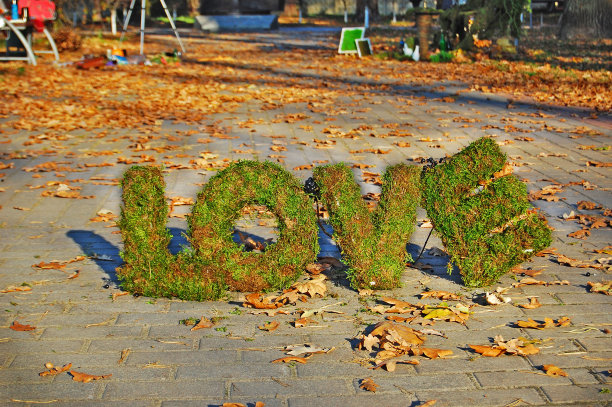 文字爱情的秋天背景。图片下载