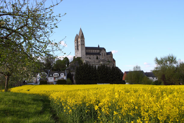 教堂和Rapsfeld图片下载