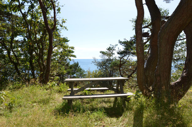 海上的长椅上图片下载