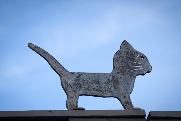 老猫装饰与蓝天图片下载