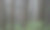 朱诺雨林图片下载