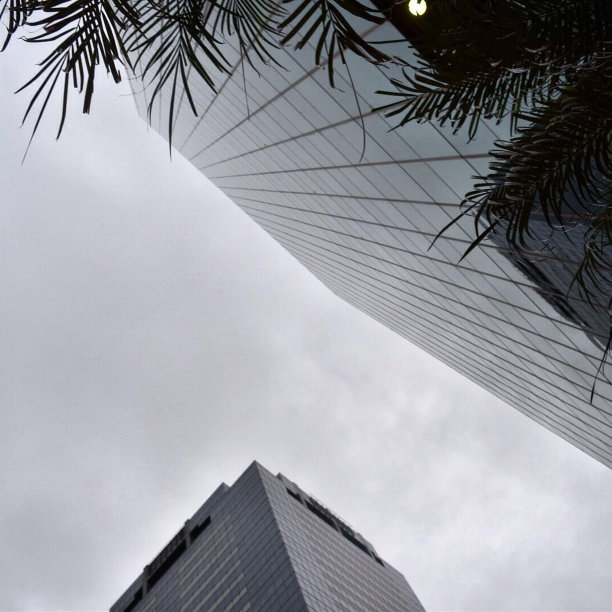 树顶悉尼图片下载