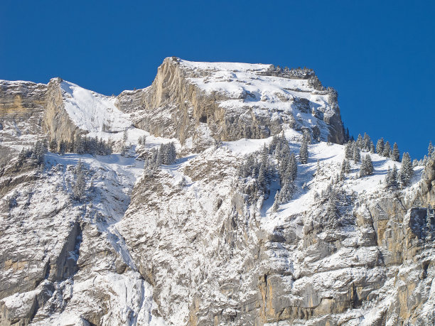 阿尔卑斯山的冬天图片下载