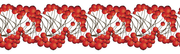花楸浆果无缝边界图片下载