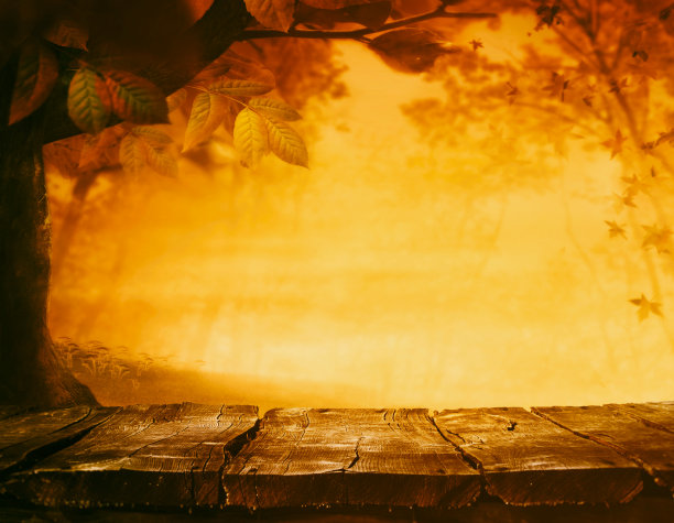 秋天背景图片下载