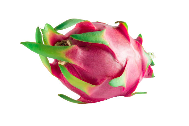 龙的水果图片下载