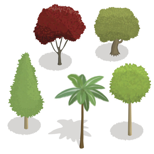 各种各样的树木。矢量插图。图片下载