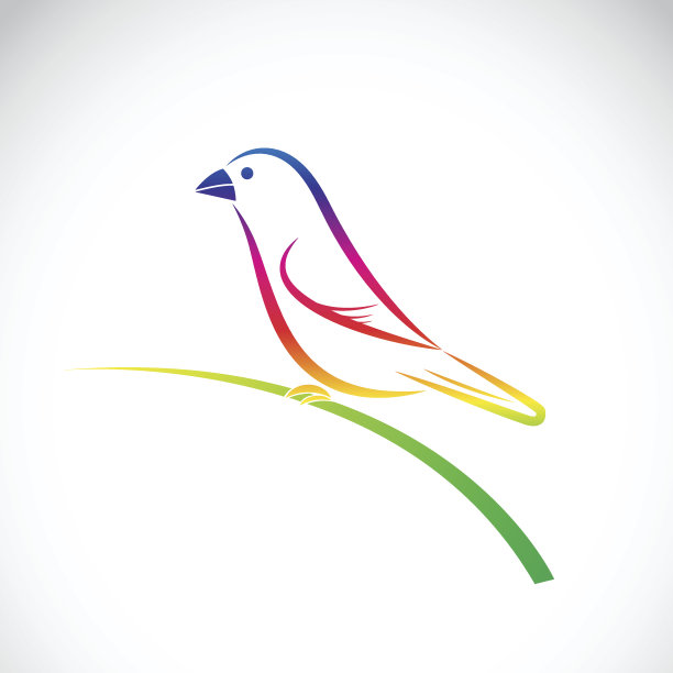 白底上的水鸟矢量。图片下载