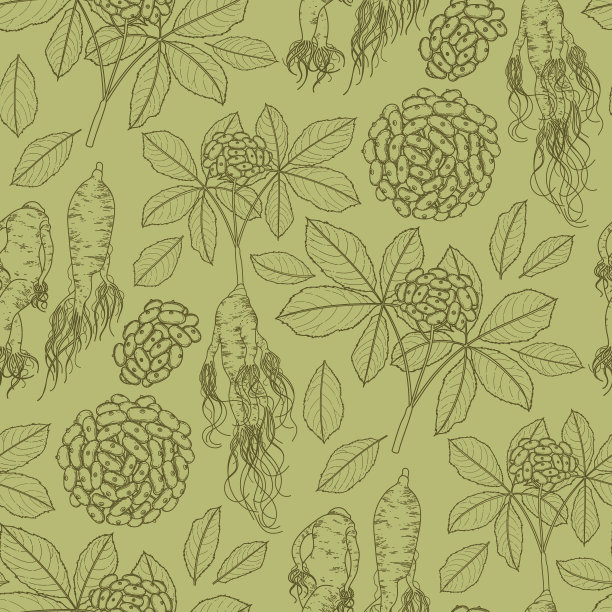 人参根和浆果图片下载