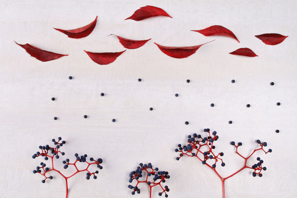 多彩的秋叶在白色的背景上，平躺着。图片下载