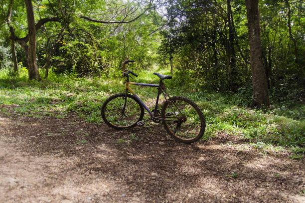 废弃生锈的自行车图片下载