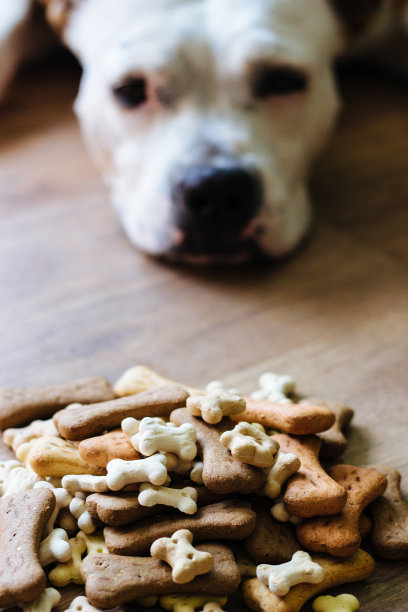 厌倦了等待图片下载