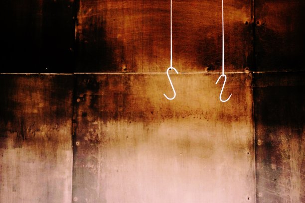 悬钩子的图片下载