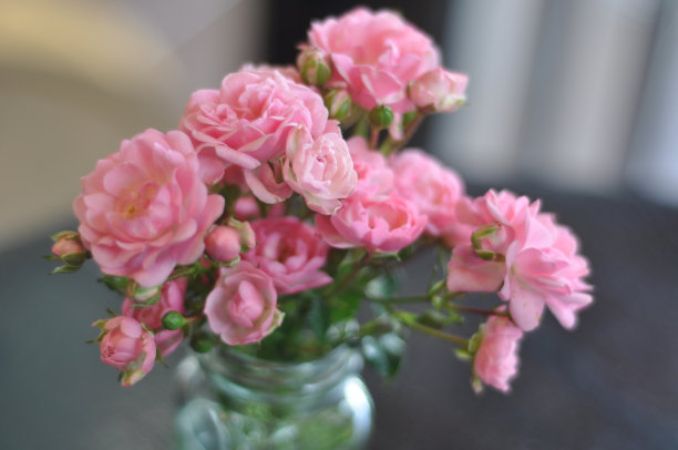 玻璃花瓶里的粉红玫瑰图片下载