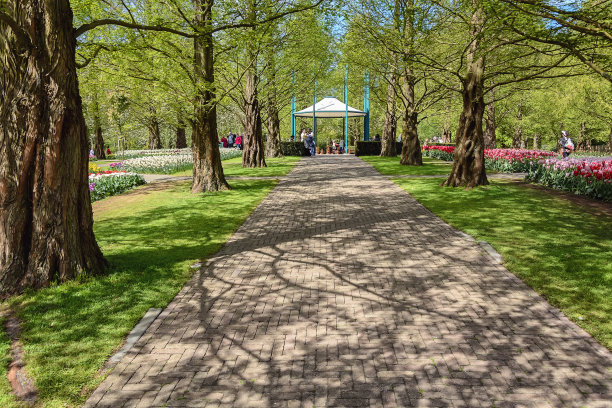 公园里的小巷。图片下载