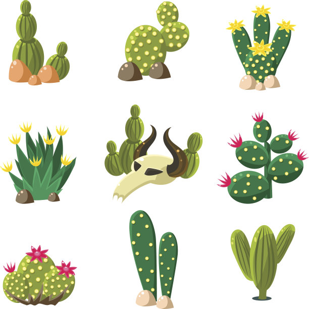 仙人掌和头骨图标，矢量插图集图片下载