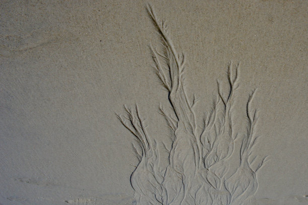 沙中的图案图片下载