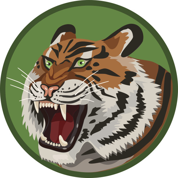 愤怒的激进的老虎图片下载