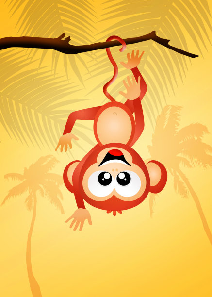 有趣的猴子图片下载