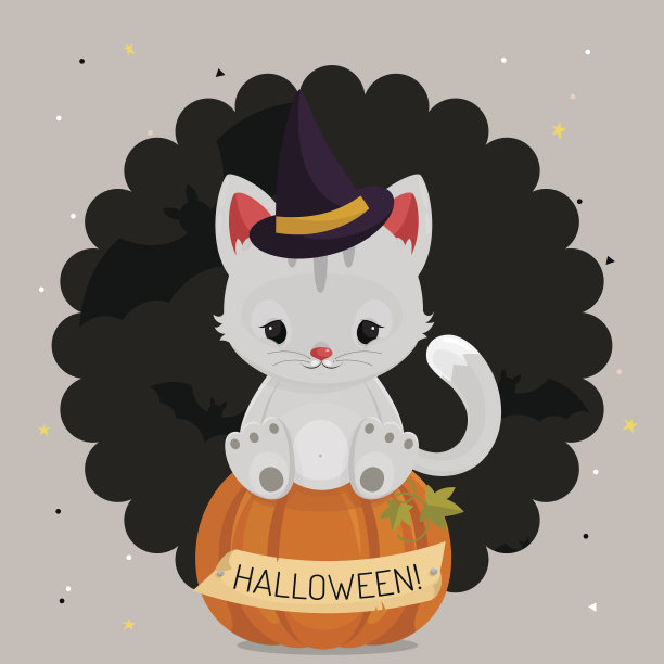 万圣节卡片或背景有白猫图片下载