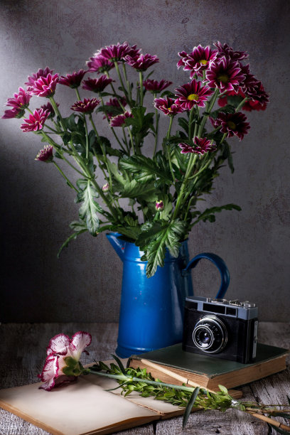 紫菀花的花瓶图片下载