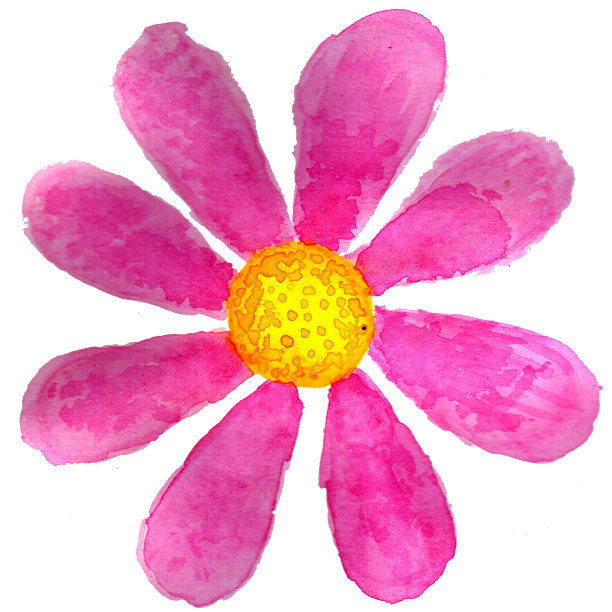 粉红色的雏菊水彩画图片下载