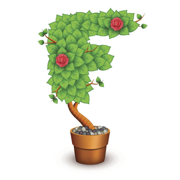 孤立的树与花在粘土壶。字母F图片下载