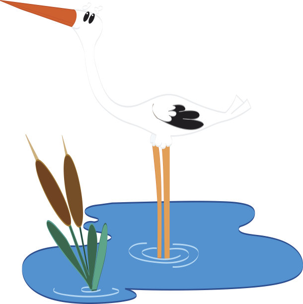 鹤在水里图片下载