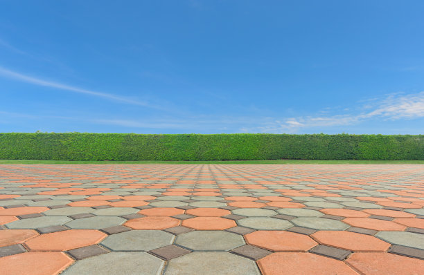 空的混凝土广场地板，绿色的树叶墙和蓝色的天空图片下载