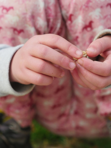 坚果孩子手秋天图片下载